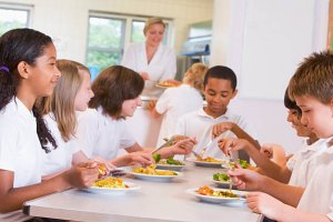 Alimentação Escolar