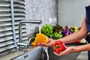 Manipulação de Alimentos - Básico