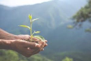 Gestão Ambiental